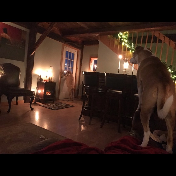 Meet your Posher, Mindy. - Picture 2 of 10